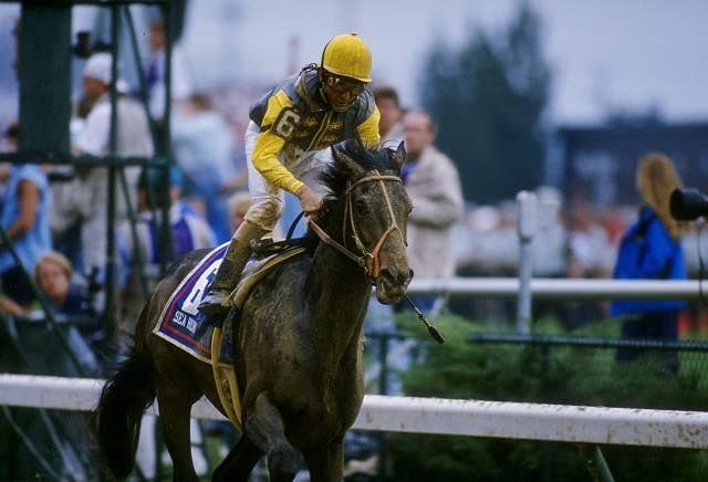 最年長ケンタッキーダービー馬シーヒーロー、トルコで死亡 JRAVAN World 海外競馬情報サイト