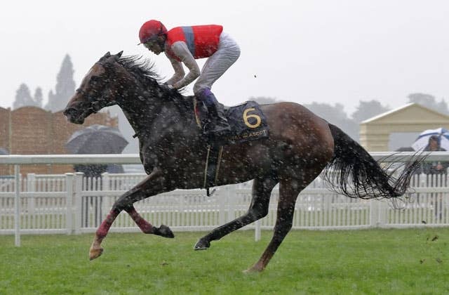 英G1ナッソーS、ディアドラは4番ゲート JRAVAN World 海外競馬情報サイト