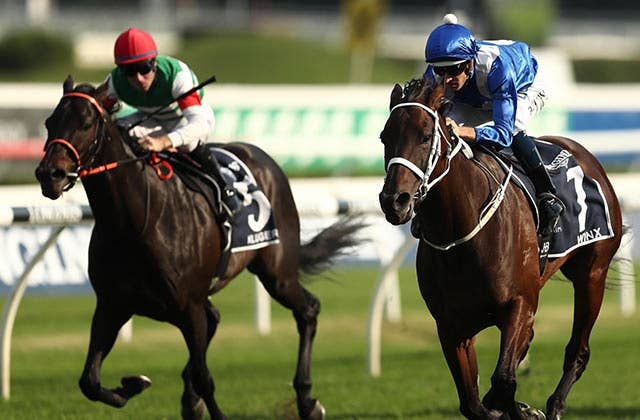 値下げ リスグラシュー コックスプレート 一口馬主 限定 記念品 競馬