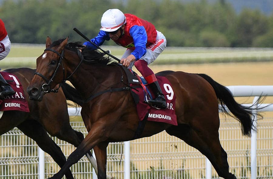 競馬ファンの方、海外レース、優勝馬 プライド（Pride） | 競馬データベース | JRA-VAN World - 海外