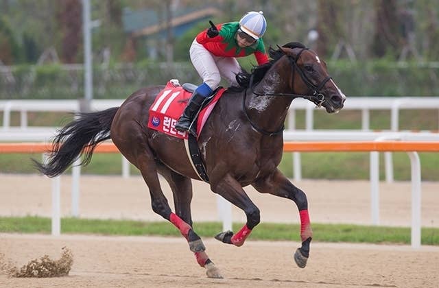 韓国G1コリアカップは地元馬ムーンハックチーフ勝利、日本馬は招待され