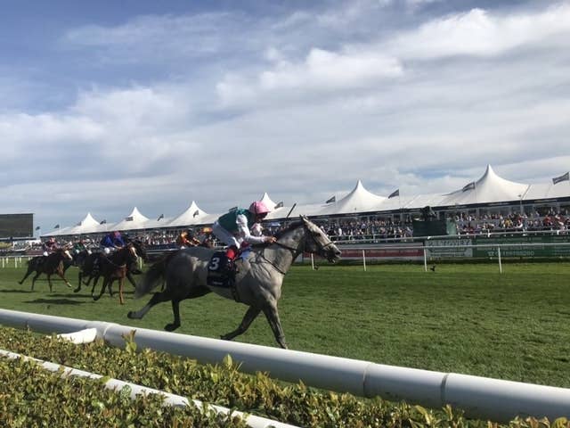 無傷の5連勝で英セントレジャー制覇のロジシャン、来年は中距離戦も視野に？ JRAVAN World 海外競馬情報サイト