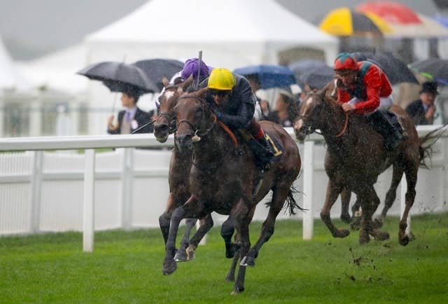 故障で引退のクリスタルオーシャン、クールモアが購入して種牡馬に