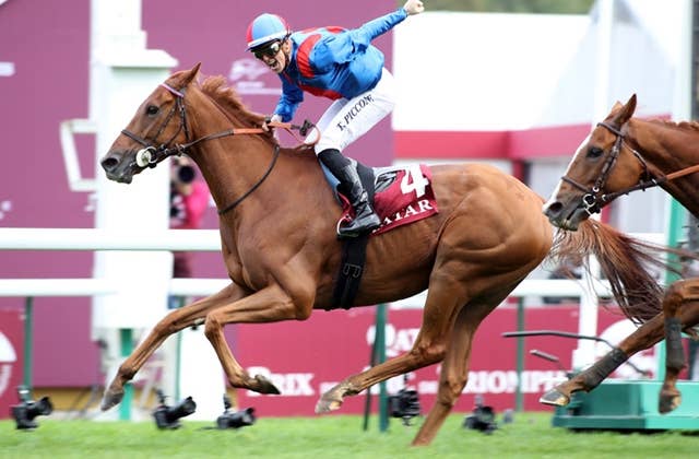 ホールドザスアイグリーン、仏G1カドラン賞で1年前の雪辱 | JRA-VAN