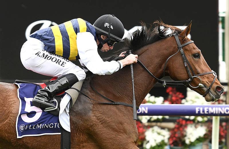 トゥルーセルフ 競馬データベース Jra Van Ver World