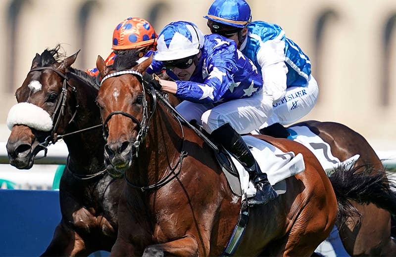 アスペター(Aspetar) | 競馬データベース | JRA-VAN World アスペター(Aspetar) | 競馬データベース | JRA-VAN World