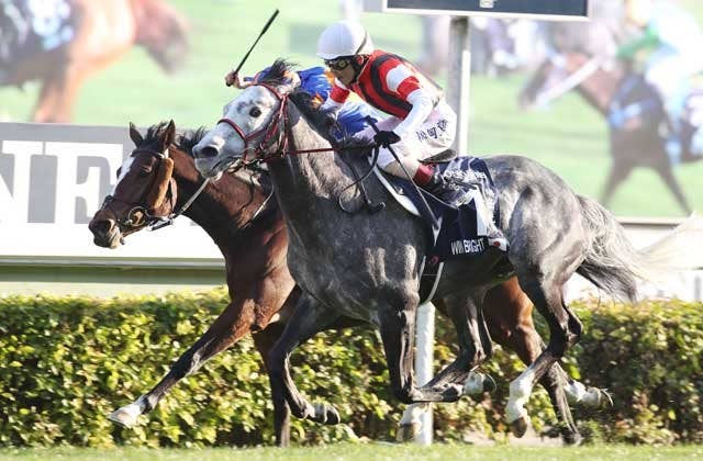 香港国際競走回顧】ウインブライトなど日本馬が3勝、2001年以来の快挙
