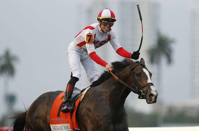 irad ortiz jr equibase irad ortiz jr equibase