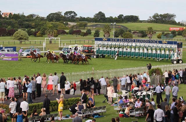 NZの遅咲き8歳馬ジュリアス、元旦のレイルウェイSでG1初制覇 JRAVAN World 海外競馬情報サイト