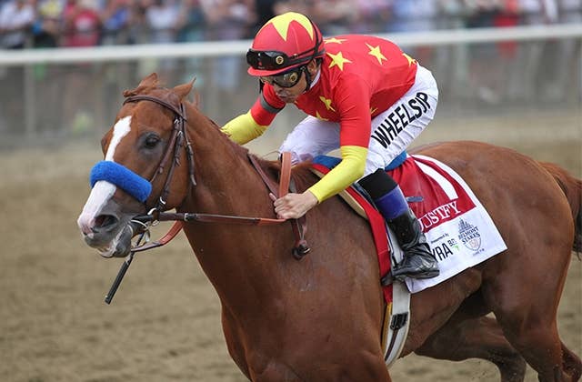 無敗の米三冠馬ジャスティファイ、初仔が誕生 | JRA-VAN World - 海外