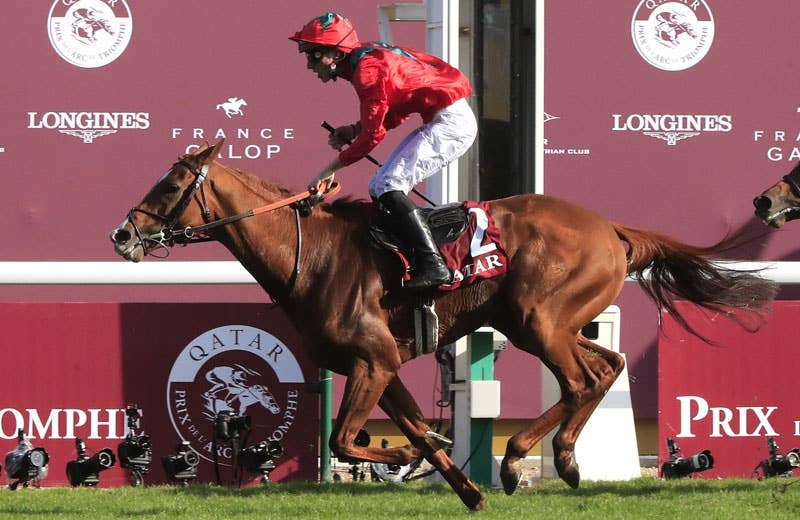 G2グレフュール賞 2018 rayhukais