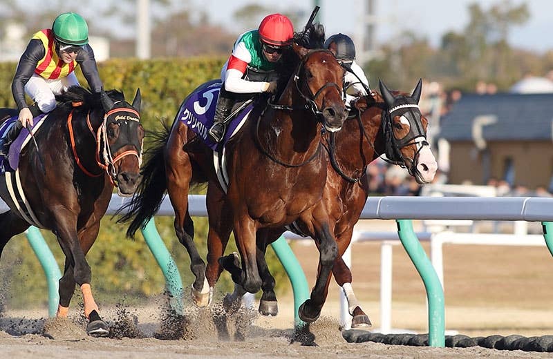 クリソベリル（Chrysoberyl） | 競馬データベース | JRA-VAN World - 海外競馬情報サイト