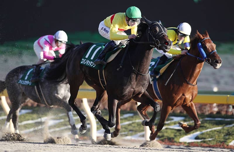 コパノキッキング Copano Kicking 競馬データベース Jra Van Ver World