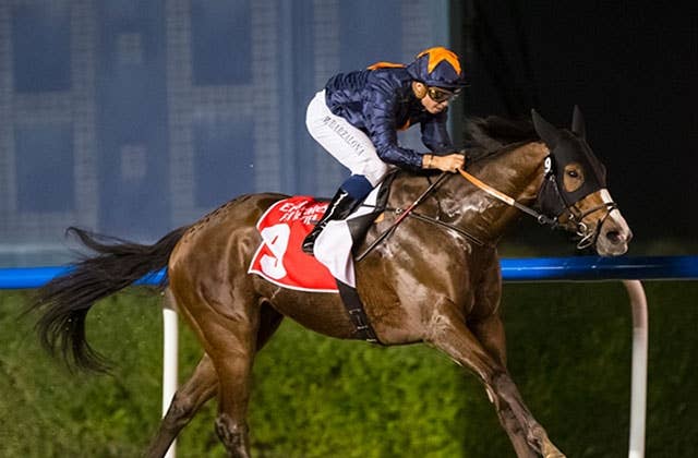 ドバイg3ファイアブレイクs キャッペッザーノが圧勝 Jra Van Ver World