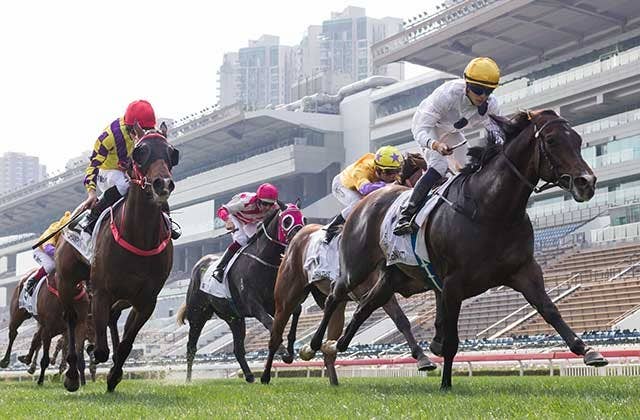 ゴールデンシックスティが二冠達成 香港クラシックcも制す Jra Van Ver World