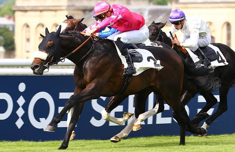 シルバーウェーヴ（Silverwave） | 競馬データベース | JRA-VAN World