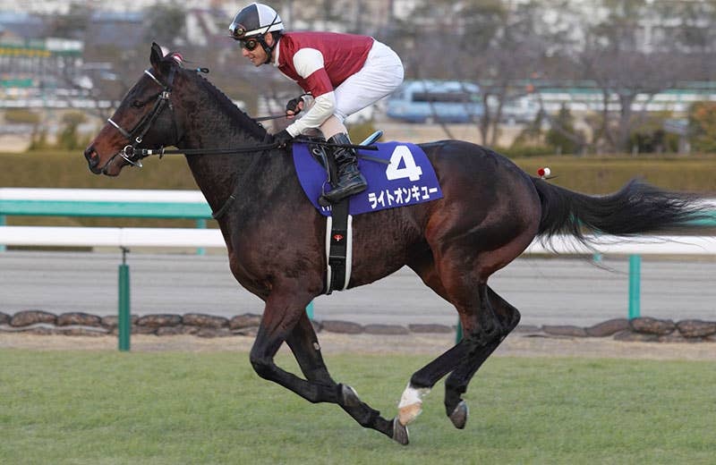 ライトオンキュー　勝利ゼッケン ライトオンキュー（Right on Cue） | 競馬データベース | JRA