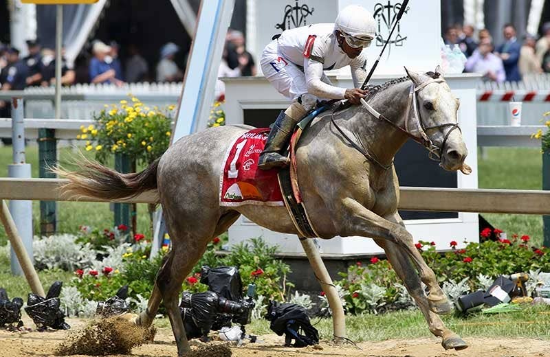 競馬ファンの方、海外レース、優勝馬 シーキングザパール｜名馬メモリアル｜競馬情報ならJRA-VAN