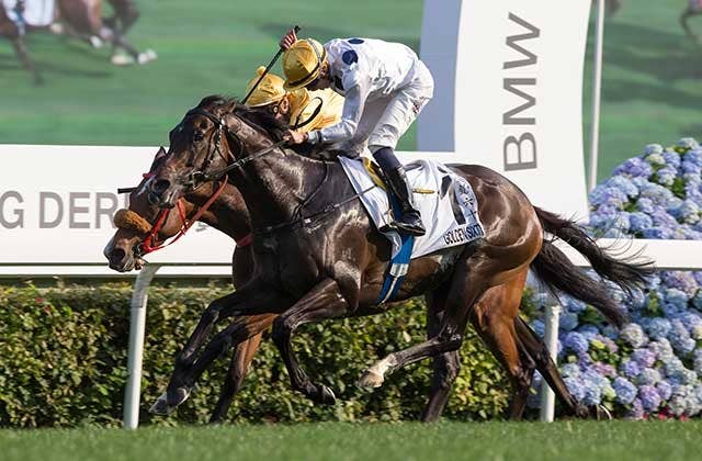 ゴールデンシックスティが香港4歳三冠達成、史上2頭目の快挙 | JRA-VAN 