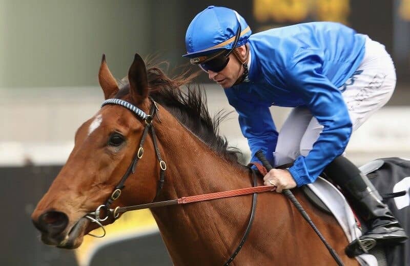 アリーゼー（Alizee） | 競馬データベース | JRA-VAN World - 海外競馬