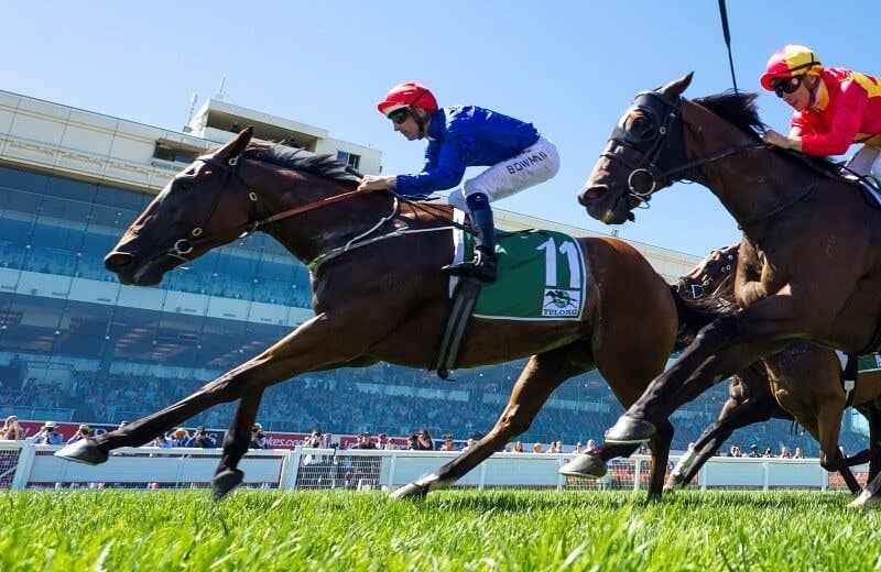 アリーゼー（Alizee） | 競馬データベース | JRA-VAN World - 海外競馬