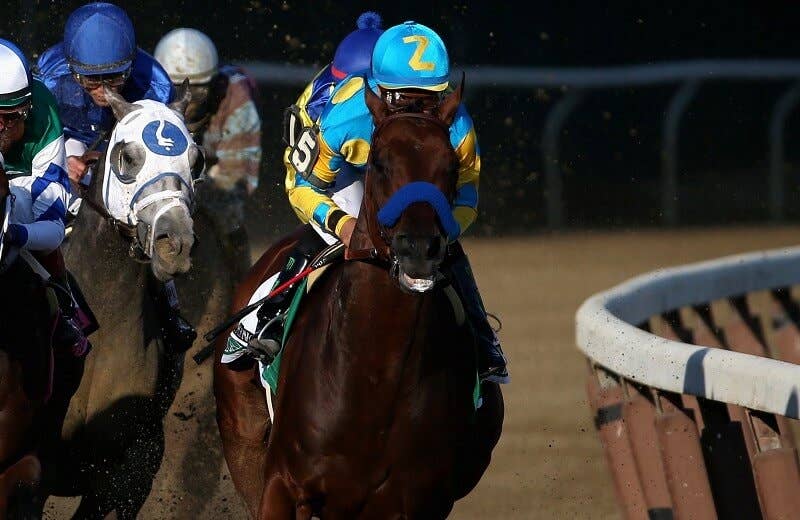 アメリカンファラオ American Pharoah 競馬データベース Jra Van Ver World