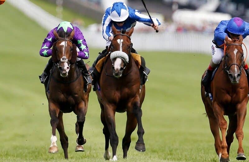 ビートザバンク Beat The Bank 競馬データベース Jra Van Ver World