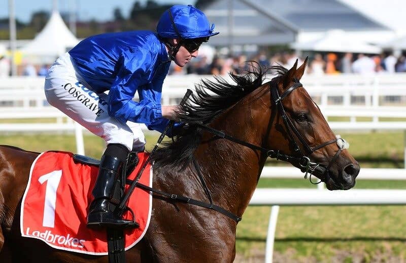 ベンバトル（Benbatl） | 競馬データベース | JRA-VAN World - 海外  