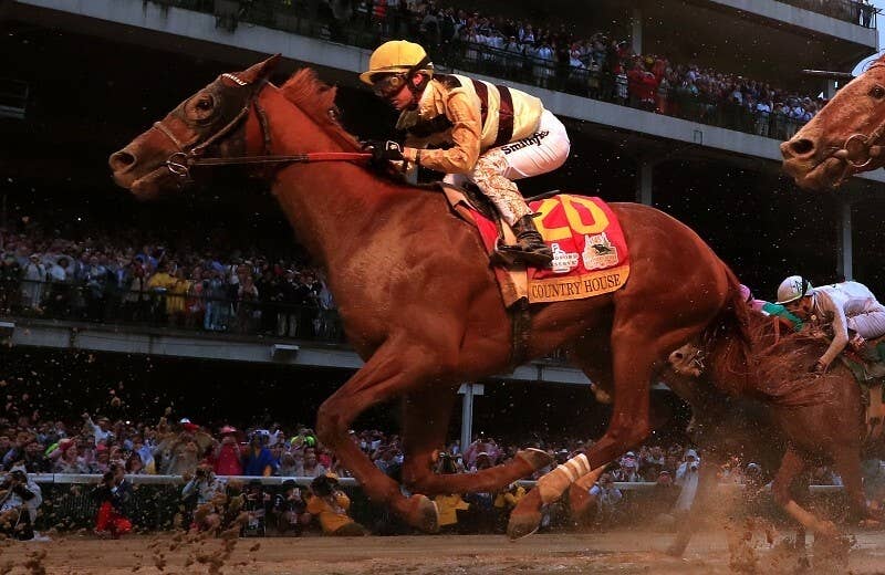 ⭐️引取限定セール1/31まで⭐️カントリーハウス⭐️COUNTRY HOUSE⭐️ カントリーハウス（Country House） | 競馬データベース | JRA