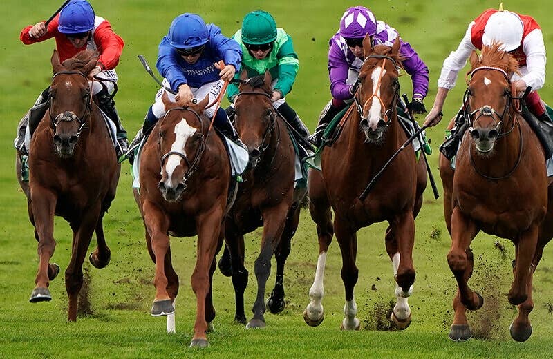 アースライト(Earthlight) | 競馬データベース | JRA-VAN World - 海外競馬情報サイト