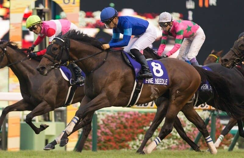 ファインニードル（Fine Needle） | 競馬データベース | JRA-VAN World
