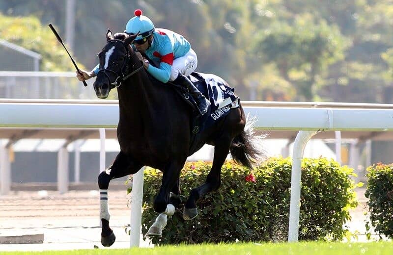 グローリーヴェイズ Glory Vase 競馬データベース Jra Van Ver World