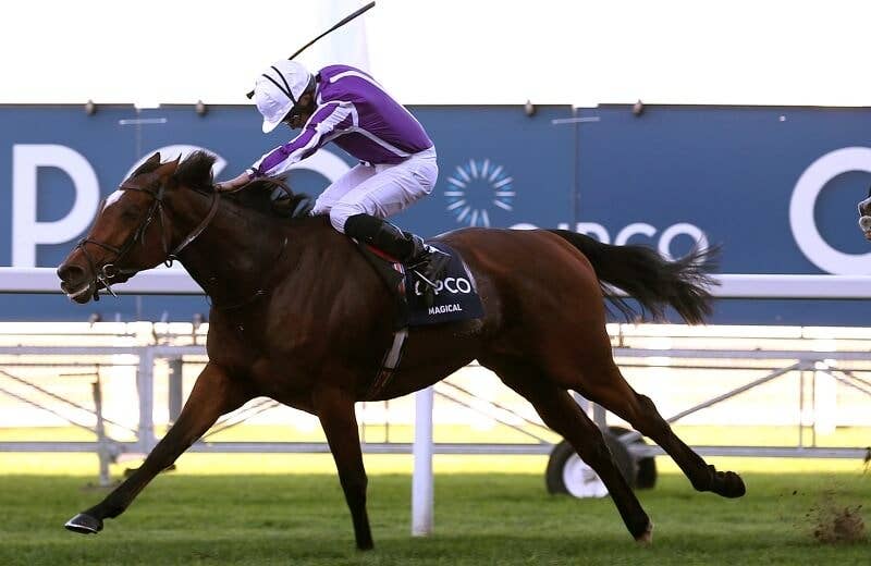 マジカル（Magical） | 競馬データベース | JRA-VAN World