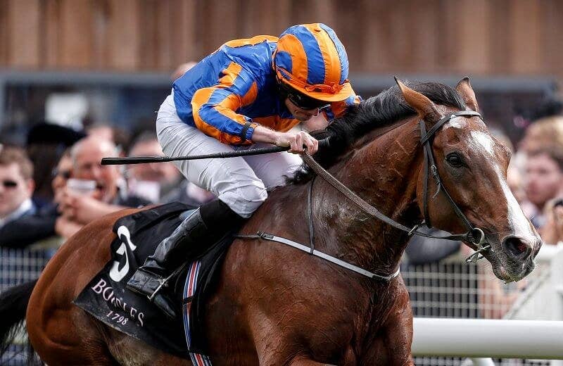 アイダホ Idaho 競馬データベース Jra Van Ver World