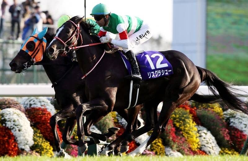 リスグラシュー（Lys Gracieux） | 競馬データベース | JRA-VAN World - 海外競馬情報サイト