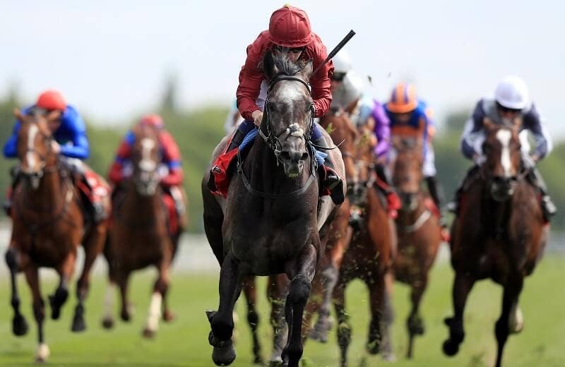 ロアリングライオン Roaring Lion 競馬データベース Jra Van Ver World