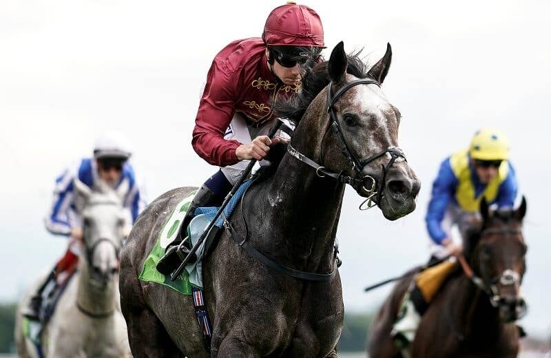ロアリングライオン Roaring Lion 競馬データベース Jra Van Ver World