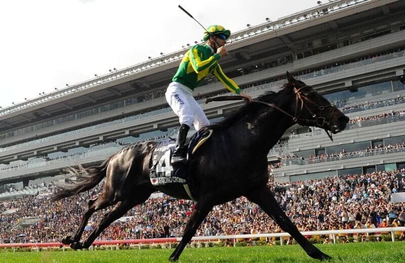 サトノクラウン「14年第19回東京スポーツ2歳S」 の現地購入単勝