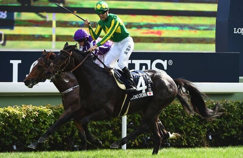 サトノクラウン（Satono Crown） | 競馬データベース | JRA-VAN World