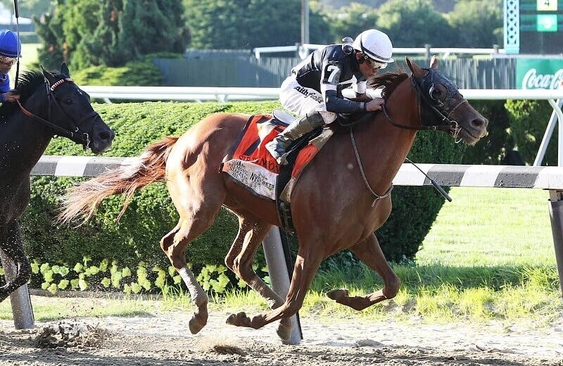 ウィッティングハム アメリカ競馬の伝説　Wittingham 日本競走馬協会 ウィッティングハム (Whittingham) | 競走馬データ - netkeiba