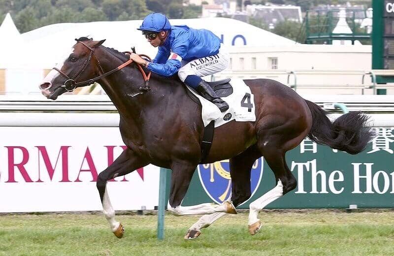 タリスマニック（Talismanic） | 競馬データベース | JRA-VAN