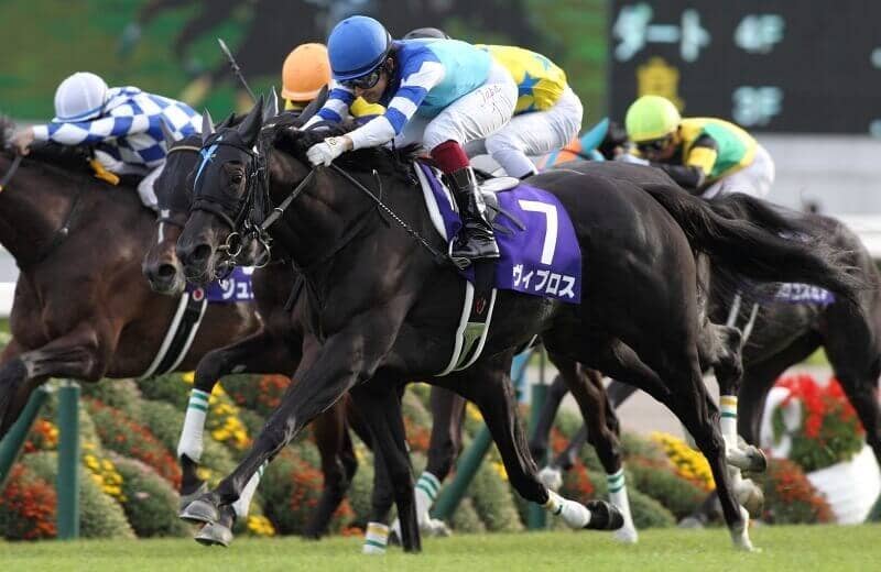 ヴィブロス Vivlos 競馬データベース Jra Van Ver World