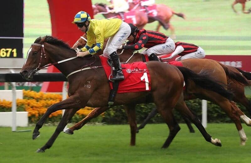 ワーザー（Werther） | 競馬データベース | JRA-VAN World