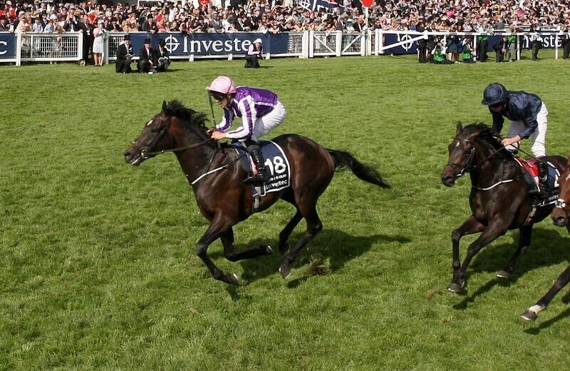イーグルス ウィングス (Eagles Wings) ユニセックス ファッション小物 Montreal Canadiens Woven Polyester Necktie Eagle\u0027s Wing - Wikipedia