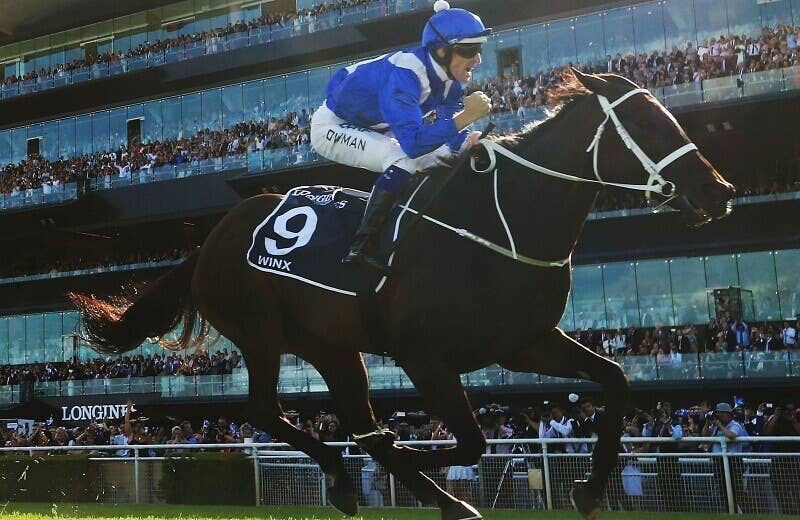 ウィンクス（Winx） | 競馬データベース | JRA-VAN World - 海外