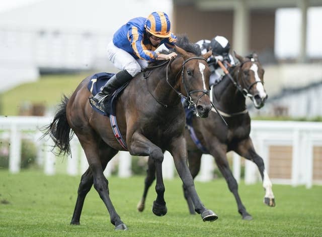 凱旋門賞馬ファウンドの初仔、ロイヤルアスコット開催で初勝利 | JRA