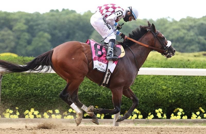く*ろ様 競走馬　スペシャルウィーク　無口 スペシャルウィーク (Special Week)の競走成績 | 競走馬データ