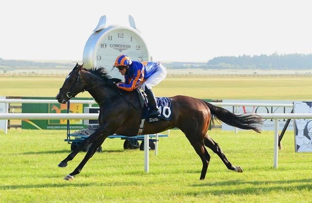 愛1000ギニー馬ピースフルは仏オークスへ 陣営が賞金獲得を優先 Jra Van Ver World