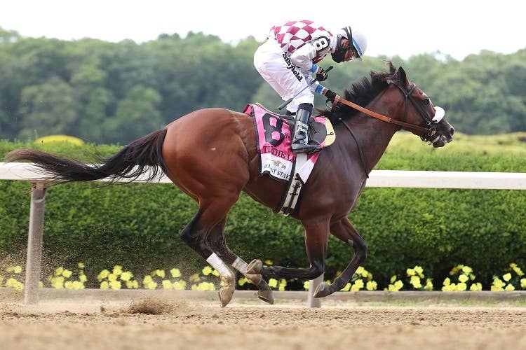ティズザローはニューヨーク州産馬として138年ぶりの優勝を果たした（Photo by Getty Images）