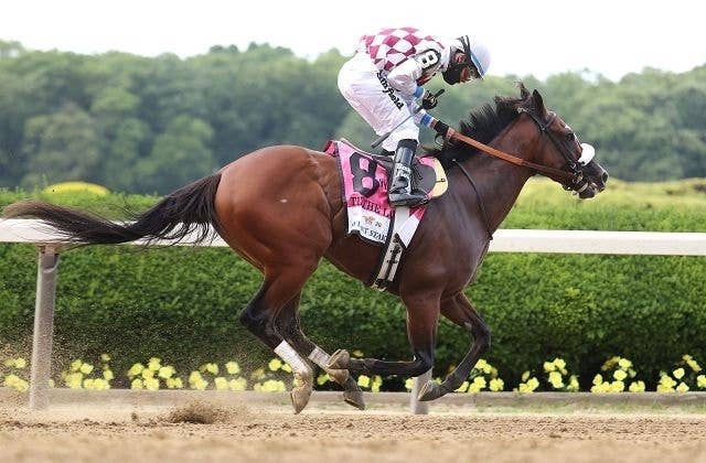 NTRAランキング3歳部門、スイススカイダイバー上昇でガミーンと牝馬双璧に JRAVAN World 海外競馬情報サイト